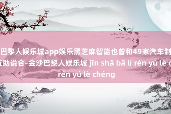 金沙巴黎人娱乐城app娱乐黑芝麻智能也曾和49家汽车制造商达成互助说合-金沙巴黎人娱乐城 jīn shā bā lí rén yú lè chéng