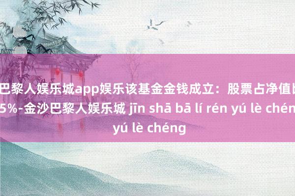 金沙巴黎人娱乐城app娱乐该基金金钱成立：股票占净值比94.85%-金沙巴黎人娱乐城 jīn shā bā lí rén yú lè chéng