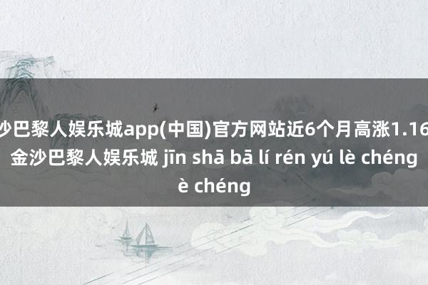 金沙巴黎人娱乐城app(中国)官方网站近6个月高涨1.16%-金沙巴黎人娱乐城 jīn shā bā lí rén yú lè chéng